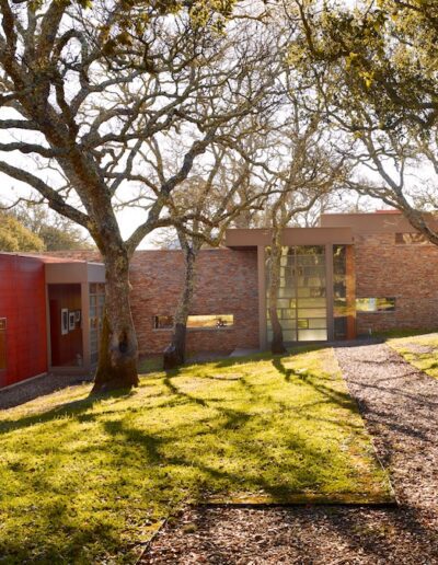Modern house with red accents nestled in a serene landscape with oak trees casting shadows on the path.