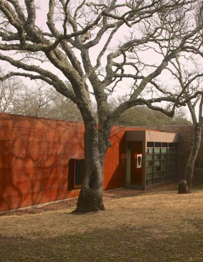 Modern architecture blending with natural surroundings.