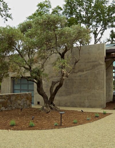 Modern building with large concrete wall nestled among trees and landscaping.