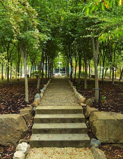 A serene garden pathway flanked by rows of young trees and stone steps leading through a green landscape.