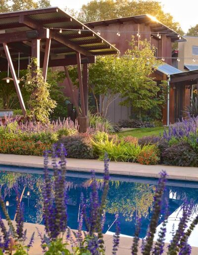 Backyard with swimming pool, pergola, and garden at sunset.